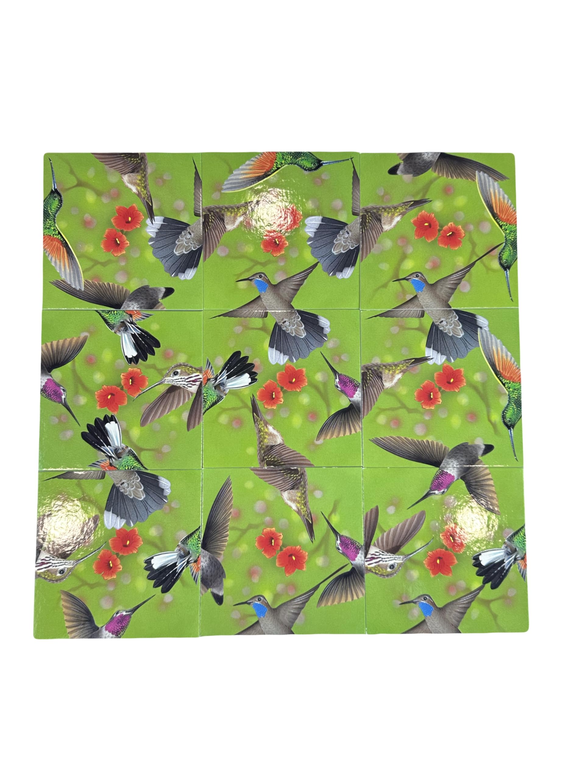 Amazon.com: Scramble Squares: Hummingbirds | 9 Piece Puzzle